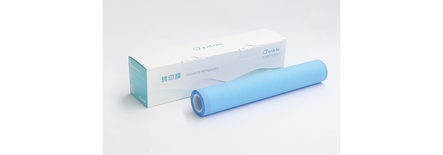 PVDF轉(zhuǎn)印膜
